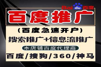 竞价广告的投放策略与效果评估——以一成功企业为例